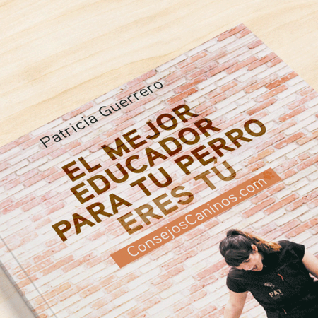 El mejor educador para tu perro eres tú - Patricia Guerrero