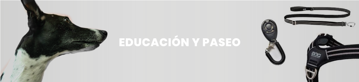 Educación y paseo