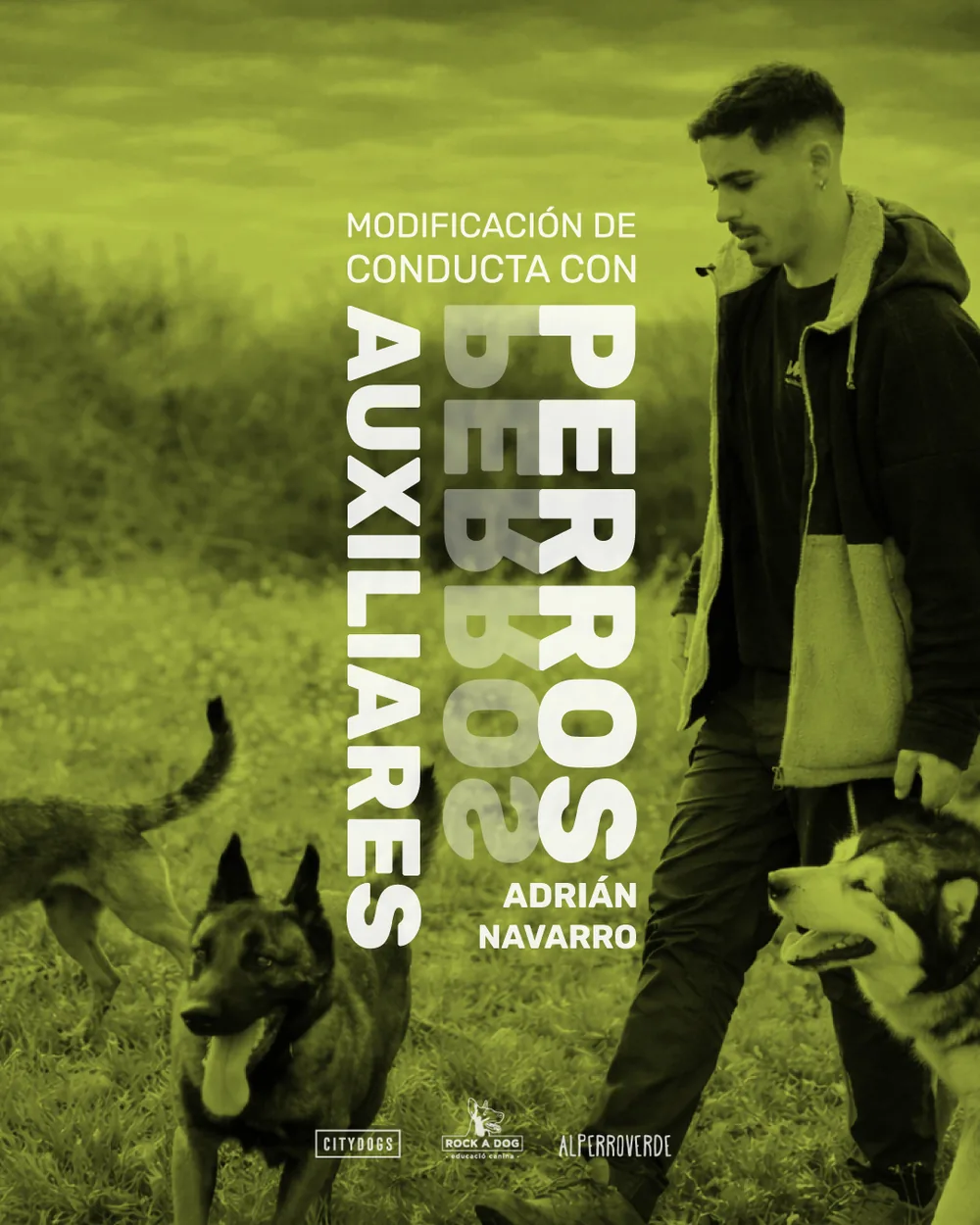 Cartel de una formación anterior de Citydogs